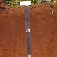 Soil pit showing the profile of red sandy earth in the West Midlands region.  