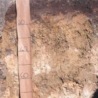 Soil pit showing the profile of alkaline grey shallow loamy duplexes (soil group 502) in the Salmon Gums region. The soil profile shows shallow loam on the top, with clay below.