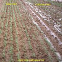 Long term cultivation effect on soil structure.