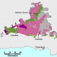 Broadscale map (1:250 000) of the Salmon Gums Agzone showing the distribution of clays and shallow loamy duplexes. The majority of the region shows clays occupying 25 to 50% from Cascade to Salmon Gums with some areas of 10-25% and 50-100%.