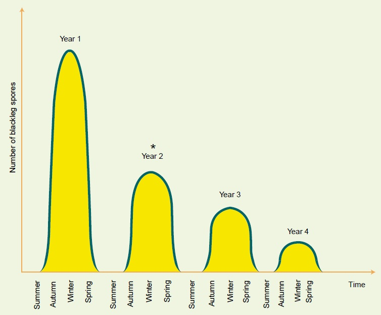 Diagrammatic illustration of the intensity of spore release Cycle of decreasing levels of spore release each year for a four year period