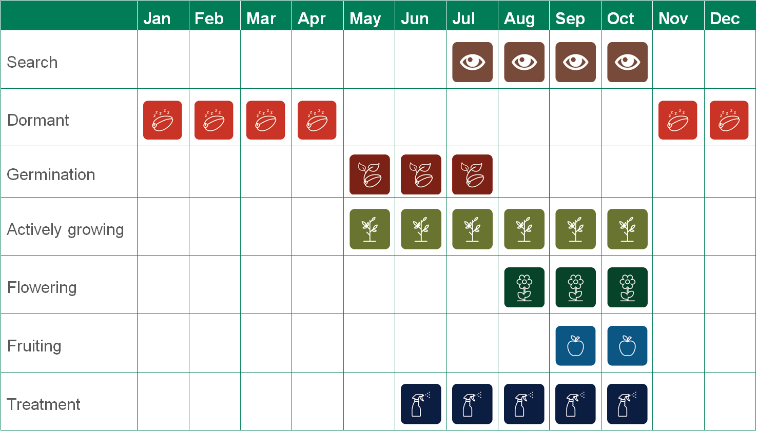 Table displays: Search Jul-Oct. Dormant Nov-Apr. Germination May-Jul. Actively growing May-Oct. Flowering Aug-Sep. Fruiting Sep-Oct. Treatment Jun-Oct.