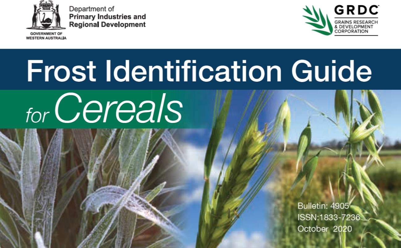 Frost ID Guide front cover with frozen wheat spikes at booting and flowering barley and oats
