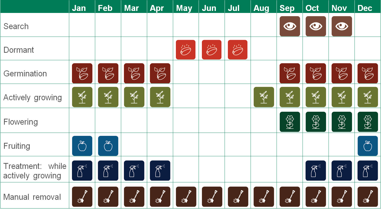 Alt text: Table displays: Search Sep-Nov. Dormant May-Jul. Germination Sep-Apr. Actively growing Aug-Apr. Flowering Sep-Dec. Fruiting: Dec-Feb. Treatment: while actively growing Oct-Apr. Manual removal Jan-Dec.