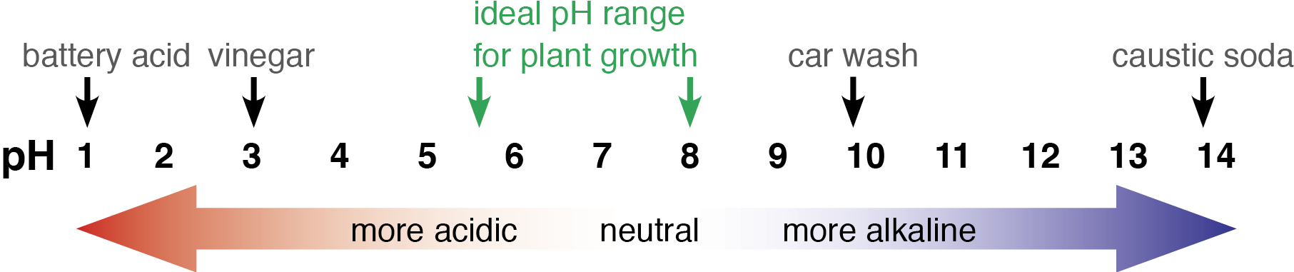Soil Ph Scale Chart