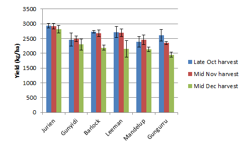 Yield of lupin varieties at three different harvest dates at Eradu