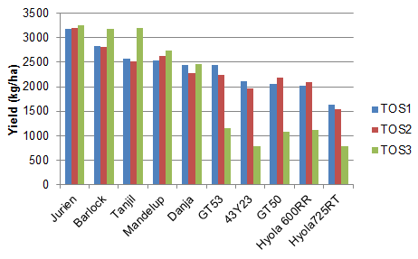 Yield of variety when sown on April 11 (TOS1), May 3 (TOS2) and May 25 (TOS3)