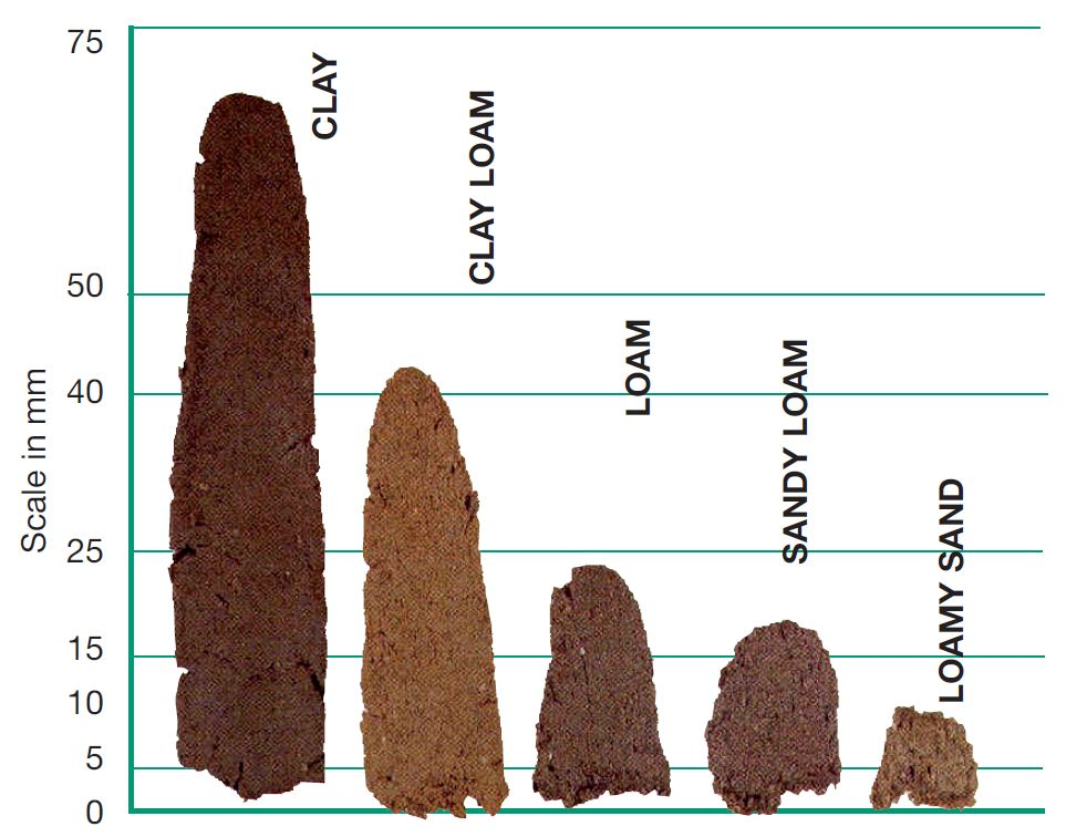 Soil Ribbon Test Chart