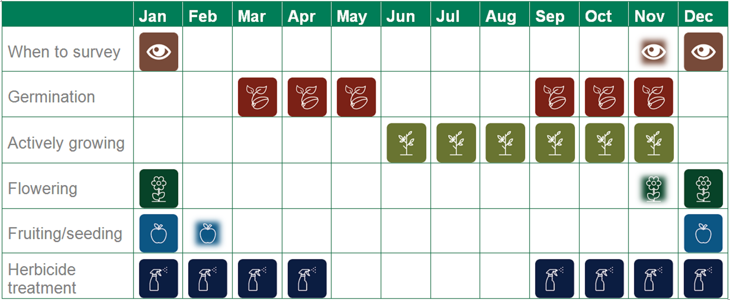 Table displays: Search: at flowering Dec-Jan (occasionally Nov). Germination: Mar-May and Sep-Nov. Actively growing: Jun-Nov. Flowering: Dec-Jan (occasionally Nov). Fruiting: Dec-Jan, (occasionally Feb). Treatment: herbicide: Jan-Apr and Sep-Dec.
