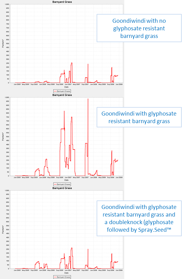 Weed Seed Wizard Plant Numbers for three scenarios at Goondiwindi, Qld; one where barnyard grass is completely susceptible to glyphosate (top); another where the barnyard grass has developed glyphosate resistance (from 30% in 2005 to 60% in 2008) (middle)