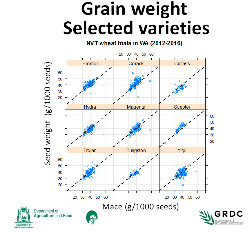 Wheat Test Weight Chart