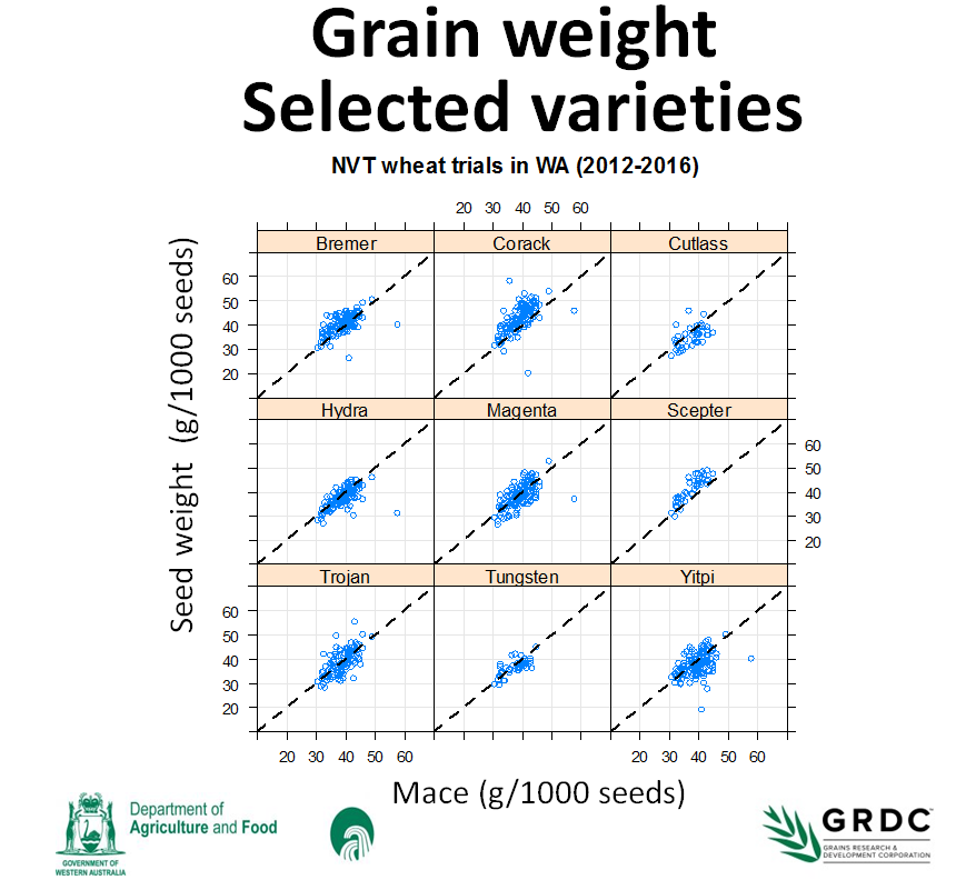 Canola Test Weight Conversion Chart