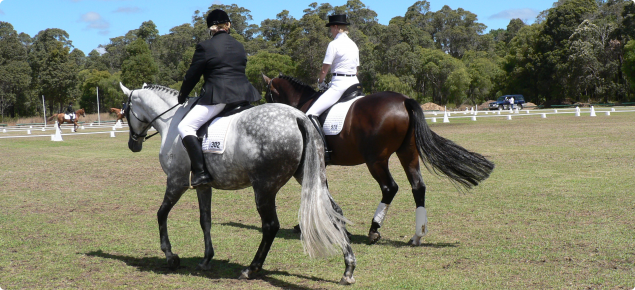 A grey horse and a dark brown horse are being ridden by ladies training for a show.