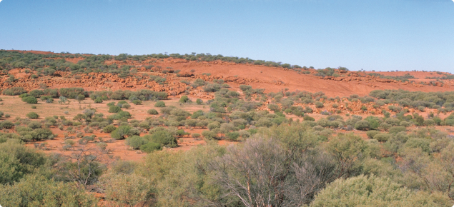 Rangeland landscape