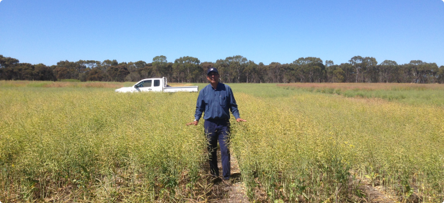 Research Officer Raj Malik in Gibson’s Nitrogen trial