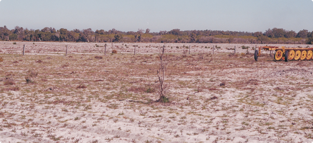 Over grazed pasture