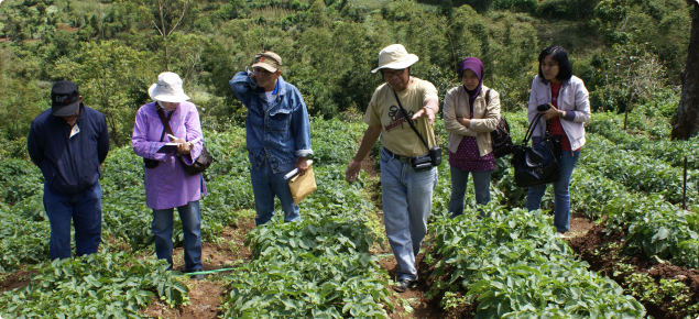 Indonesian extension officers receive training in managing potato pests