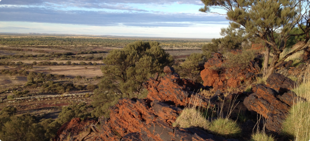 Pilbara view