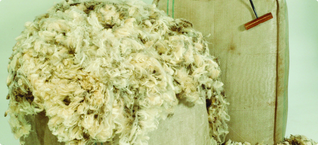 Bale of wool