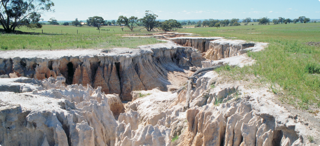 Severe gully erosion