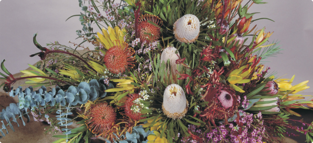 A flower arrangement of  Western Australian wildflowers including Banksia's, Kangaroo Paw and Wax Flowers.