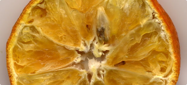 Fruit symptoms of dry rot. Photo courtesy of Dr Roger Shivas, DPIF 2005.