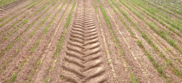 Surface soil compaction of cultivated gravelly clay