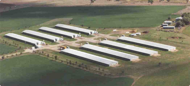 Poultry sheds aerial view