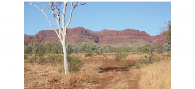 Ragged Range, an impressive expression of Weaber land system, East Kimberley