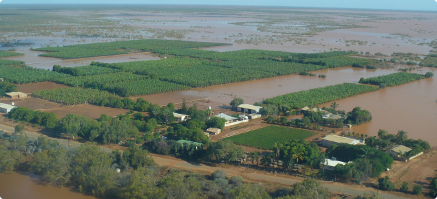 Vast flooding of Carnarvon horticultural area with brown muddy water spanning into the distance