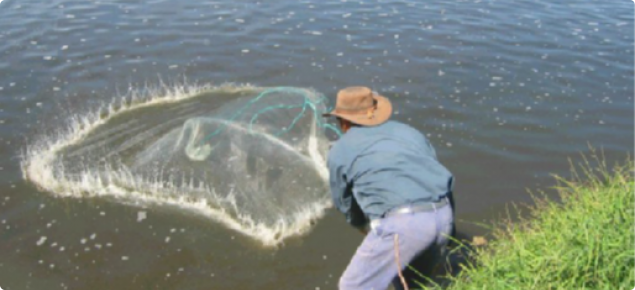 Man casting a net in the river