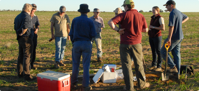 Discussion in a focus paddock at the end of a field walk