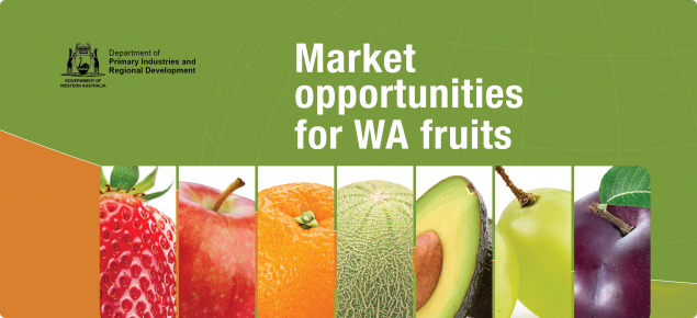 Market opportunities for WA fruit report cover