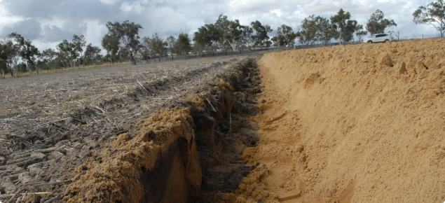A yellow sand that has been mouldboard ploughed