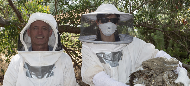 Two DPIRD staff following removal of a European wasp nest. One is holding a jar filled with wasps and the other is holding pieces of the removed nest.