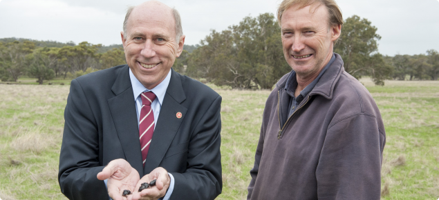 Agriculture and Food Minister Ken Baston and Williams farmer Lester Fawcett collecting Copris hispanus that will be relocated to Badgingarra and Geraldton to tackle bush fly numbers there.