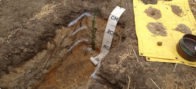Photograph of a soil pit showing the soil profile.