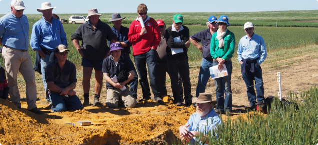 Demonstration of changes in soil acidity throughout a soil profile by the application of universal pH indicator