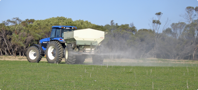 Spreading lime onto spring pasture at South Bodallin. 