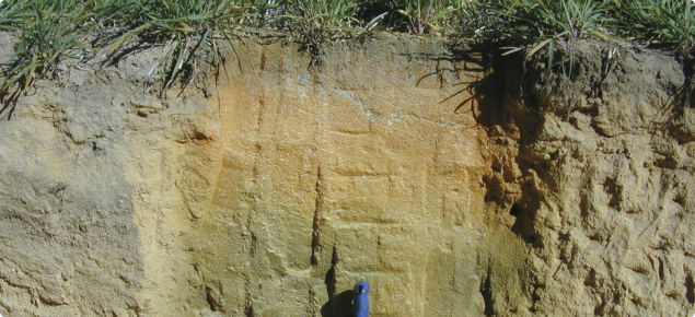pH changes in a soil profile illustrated by universal pH indicator 