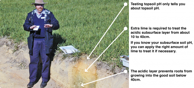 Using universal pH indicator to illustrate changes in soil pH through a profile 