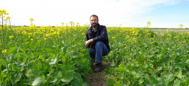 DAFWA researcher Martin Harries inspecting canola plots with different plant densities and plant geometry.