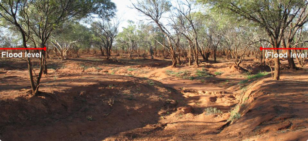 Dried river channel with mud stained trees to about one and a half meters