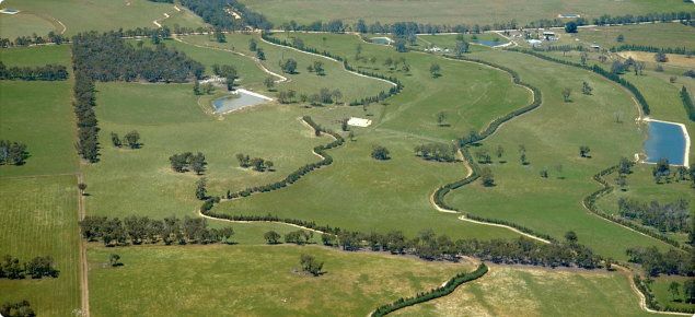 Aerial photo of grade banks for water conservation with trees planted on downslope