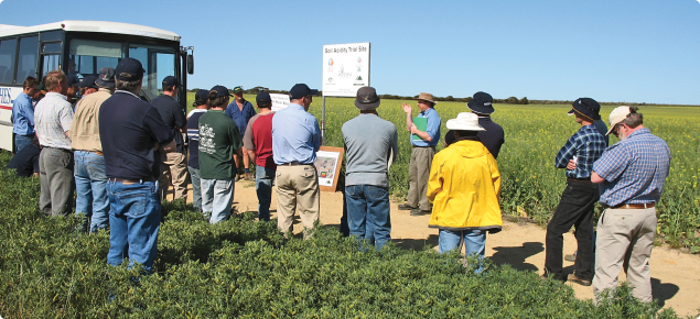 Field day with growers discussing benefits of managing soil acidity at Holt Rock