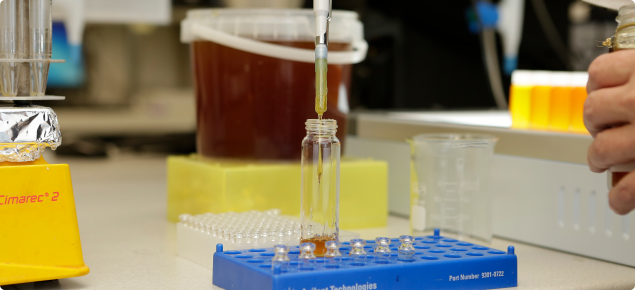 Testing honey in a laboratory
