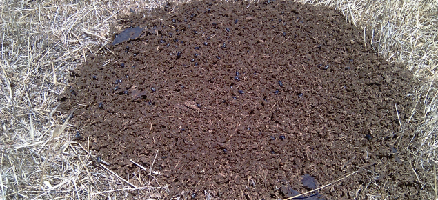 Shredded dung pad