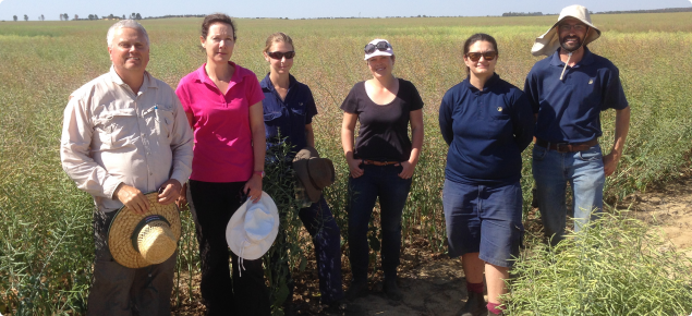 Project staff in the field