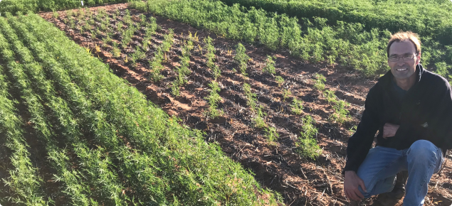 research scientist in field trial