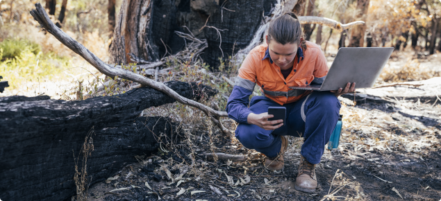 land management activities